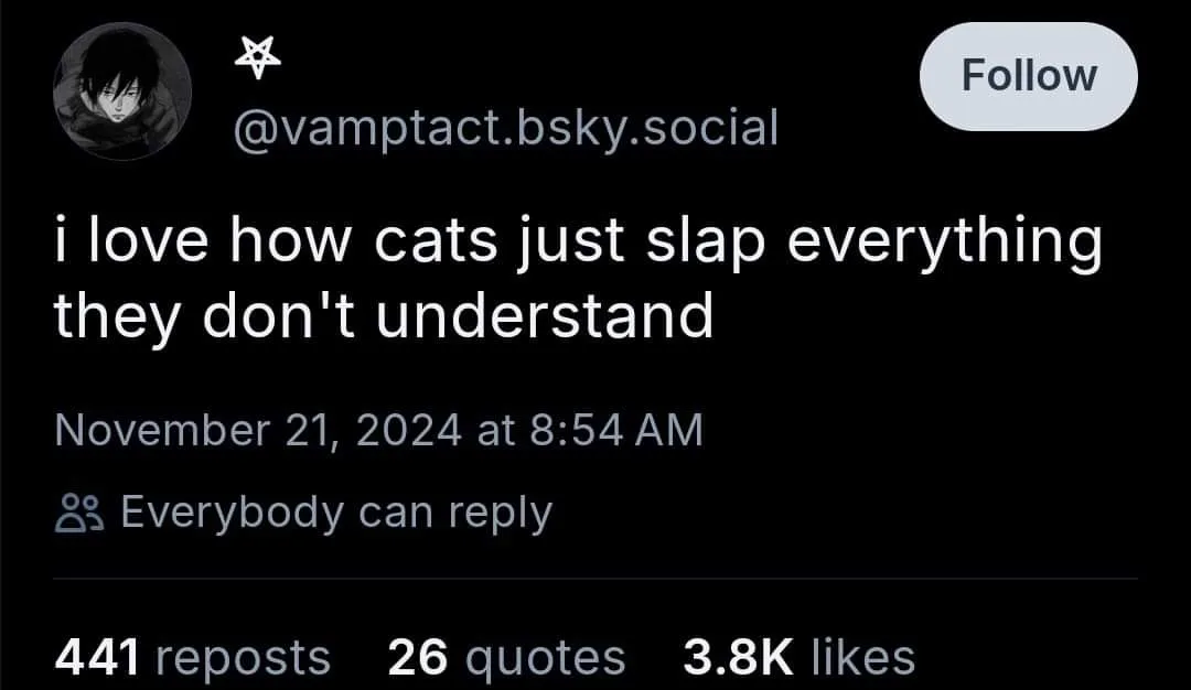 A screenshot of a social media post from a user with an anime avatar, showing the text 'i love how cats just slap everything…