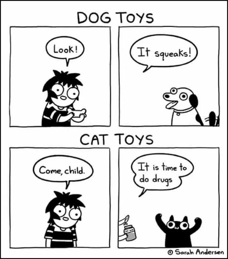 A four-panel comic strip by Sarah Andersen shows a child excitedly showing a dog a squeaky toy, then a cat being told to…