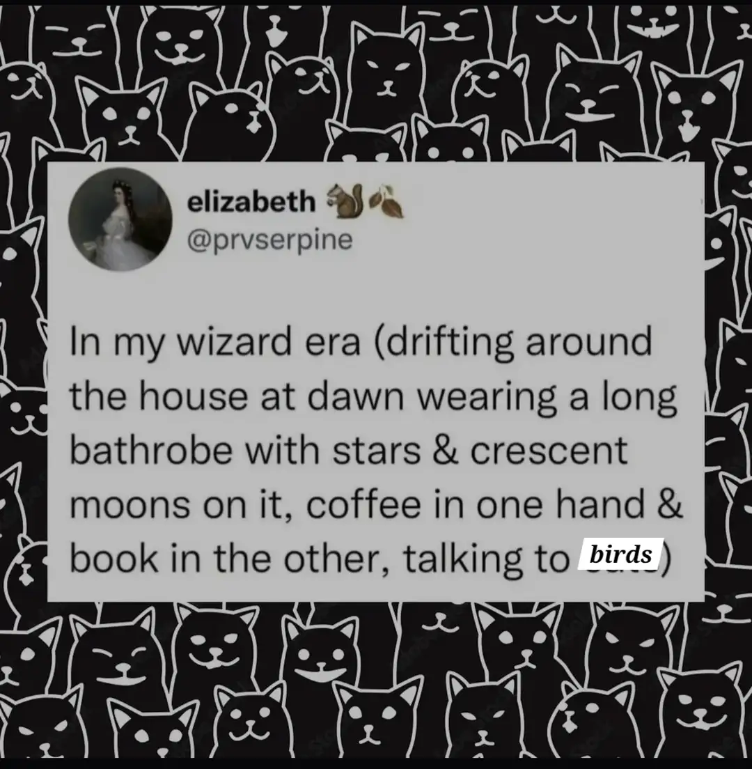 A screenshot of a tweet by user 'elizabeth' (@prvserpine) is overlaid on a background of repeating black-and-white cat…