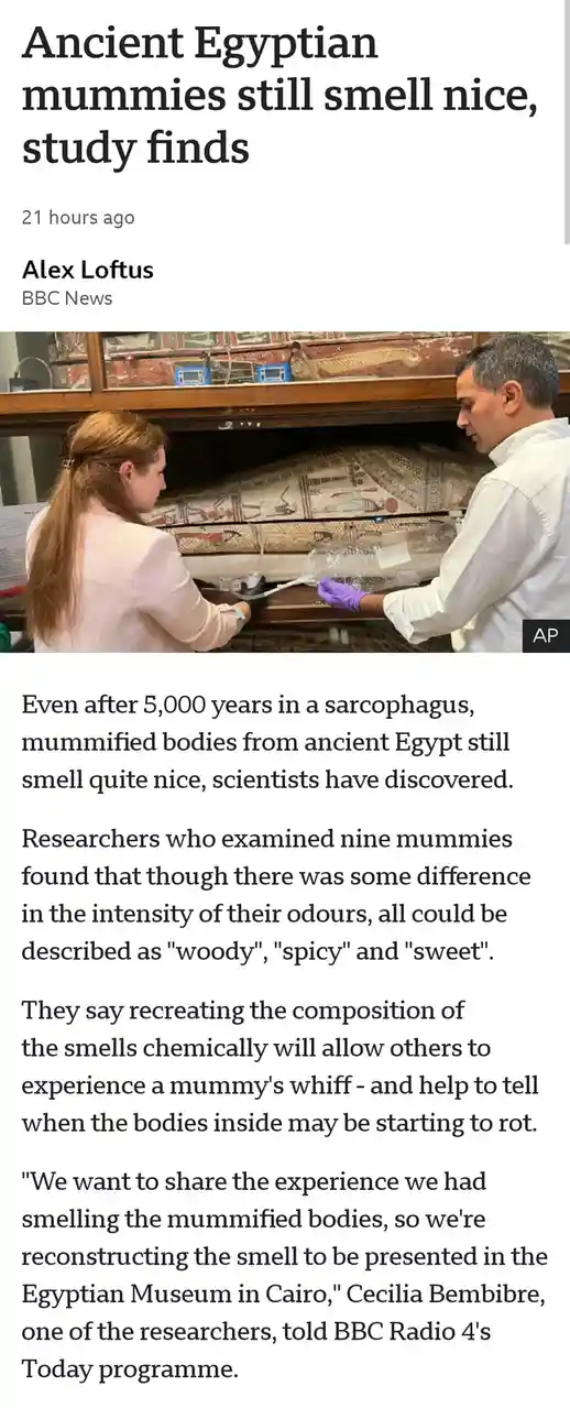 A screenshot of a BBC News article shows two researchers in a lab examining ancient Egyptian mummies in sarcophagi. The…