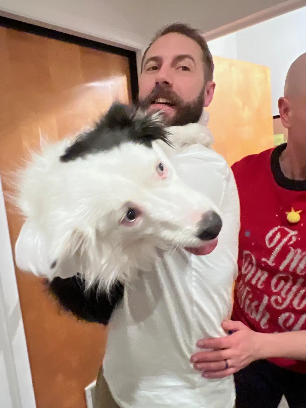 A man with a beard is holding a large white and black dog whose head is positioned over his own, obscuring his face. The…