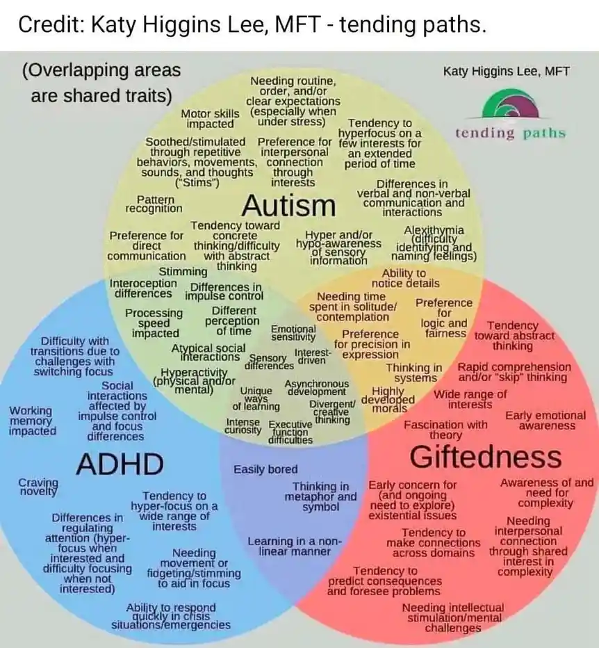 A Venn diagram with three overlapping circles labeled Autism (yellow), ADHD (blue), and Giftedness (red), each containing…