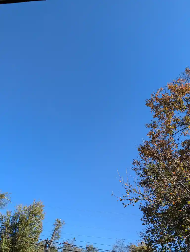 A clear blue sky dominates the image, with autumn-colored tree branches visible in the bottom right and left corners. Power…