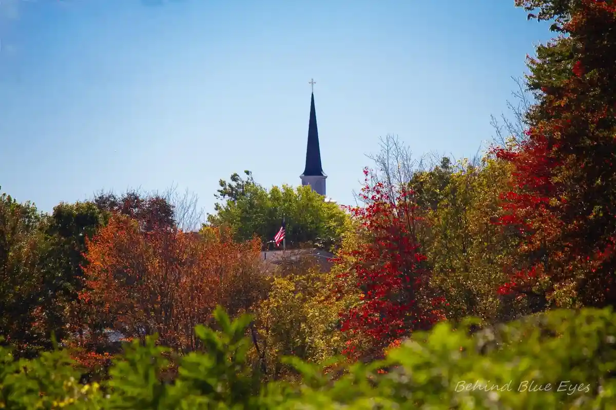 Embracing the Beauty of Autumn