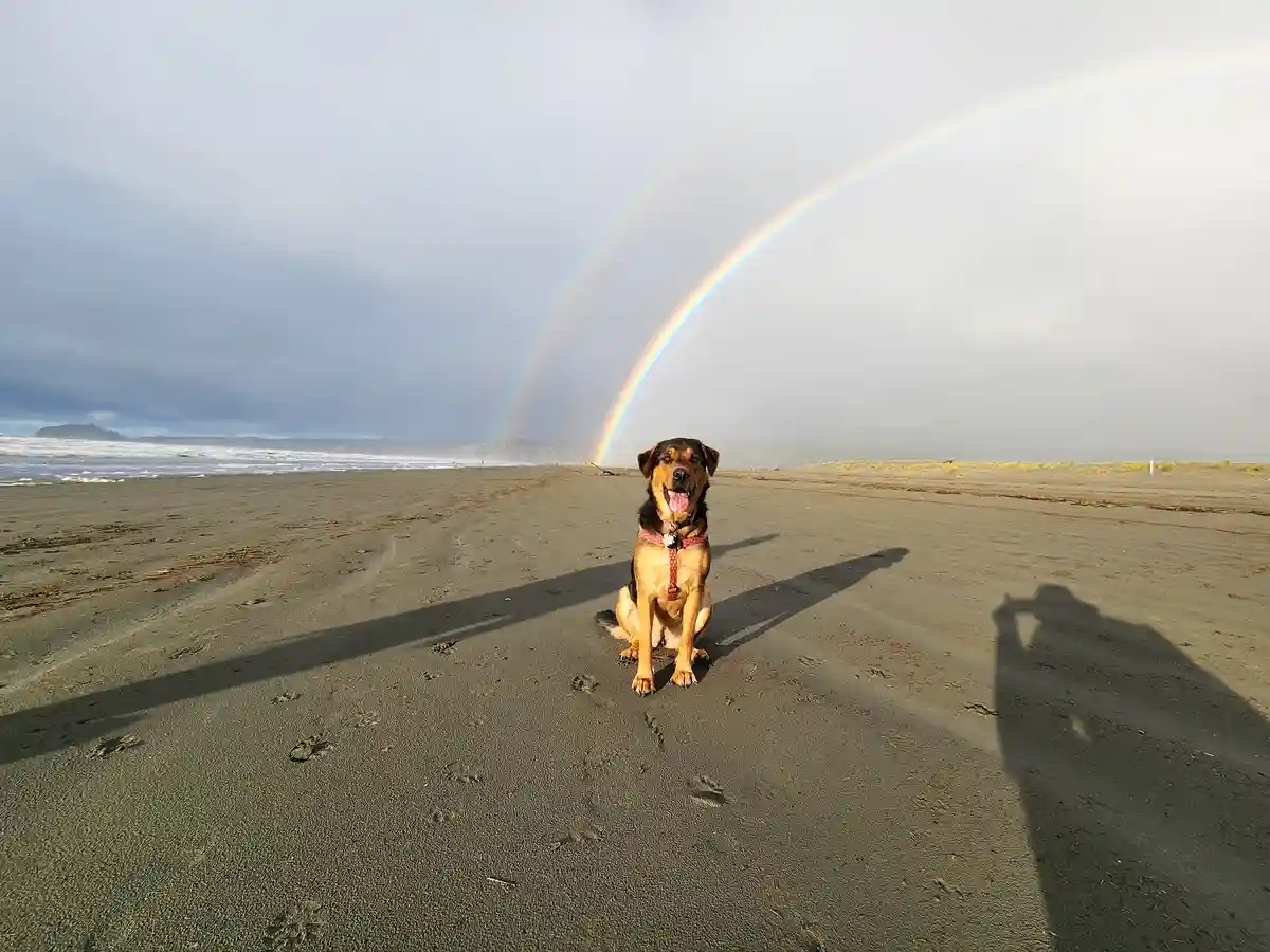 Freyja showcasing her incredible skills once again.