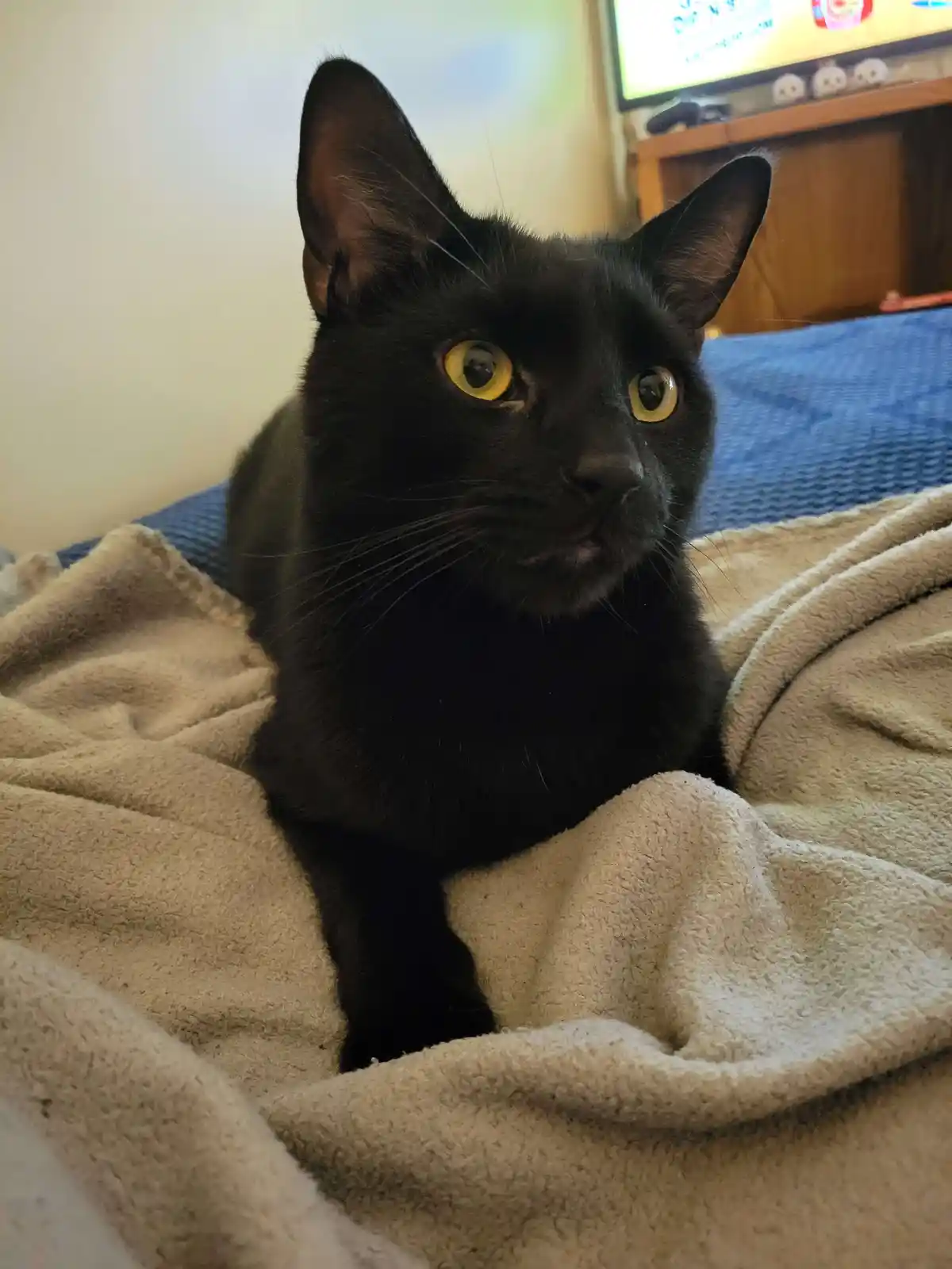 Just My Boy Charlie: A Heartwarming Moment