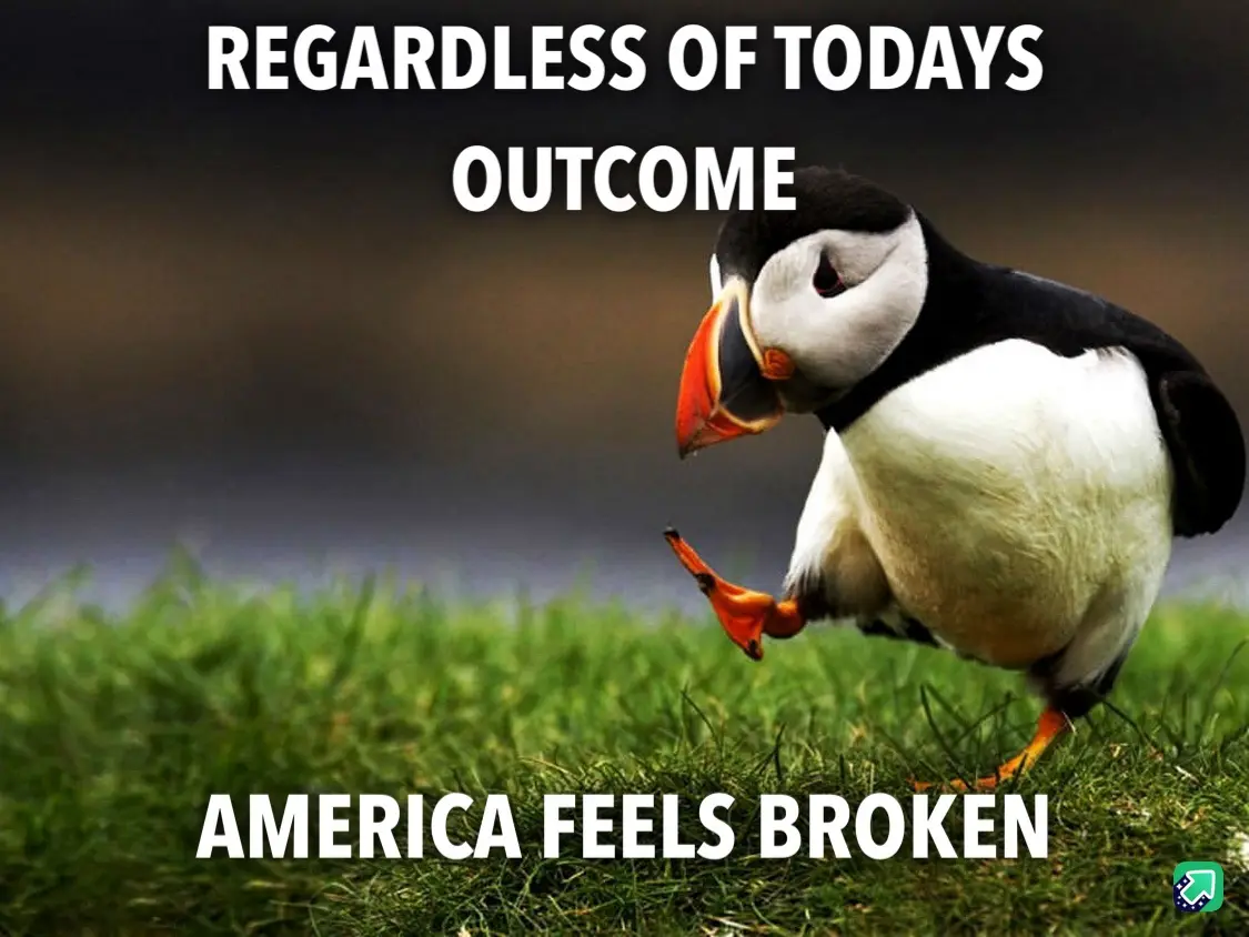 A photograph of a puffin standing on green grass, looking down with one foot lifted as if in despair. White bold text at the…