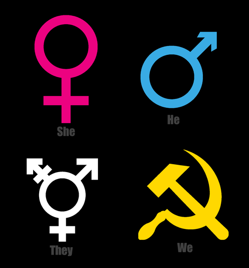Four symbols arranged in a 2x2 grid on a black background: pink female symbol labeled 'She', blue male symbol labeled 'He'…