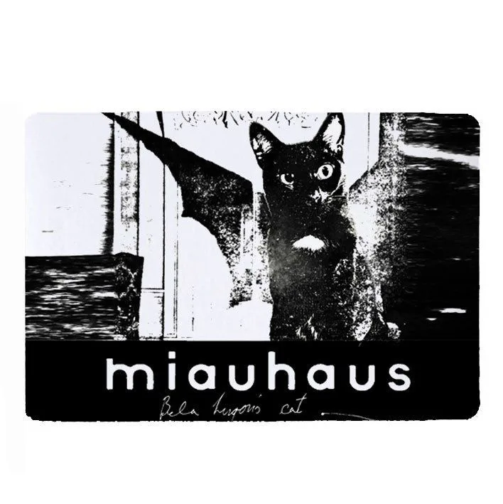 A black-and-white, grainy image shows a black cat with wide eyes and a white chest, standing in a doorway with bat-like…