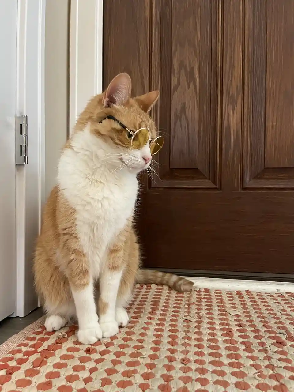An orange and white cat sits upright on a patterned rug near a wooden door, wearing small round gold-rimmed sunglasses. The…