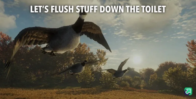 Three geese fly across a field with autumn trees and a bright sun in the background. White text at the top reads 'LET'S…