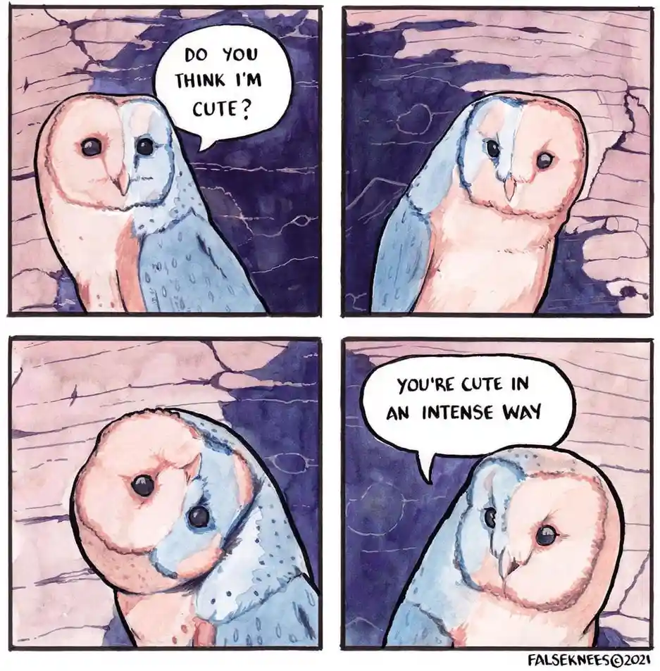 A Random Collection of Saved Pics from My Computer - Part 5