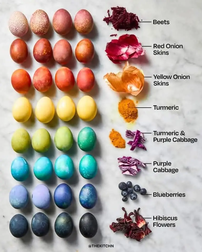 A visually organized chart displays rows of eggs dyed in a rainbow gradient from pink to dark blue, each row corresponding…