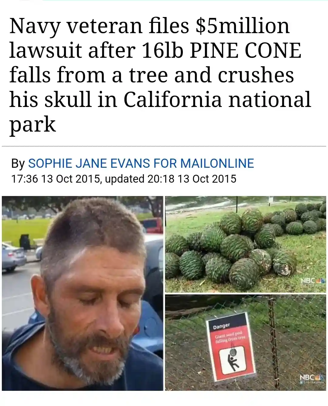 The image is a collage of three photos: a close-up of a man with a grimace, a pile of large pinecones on grass, and a…