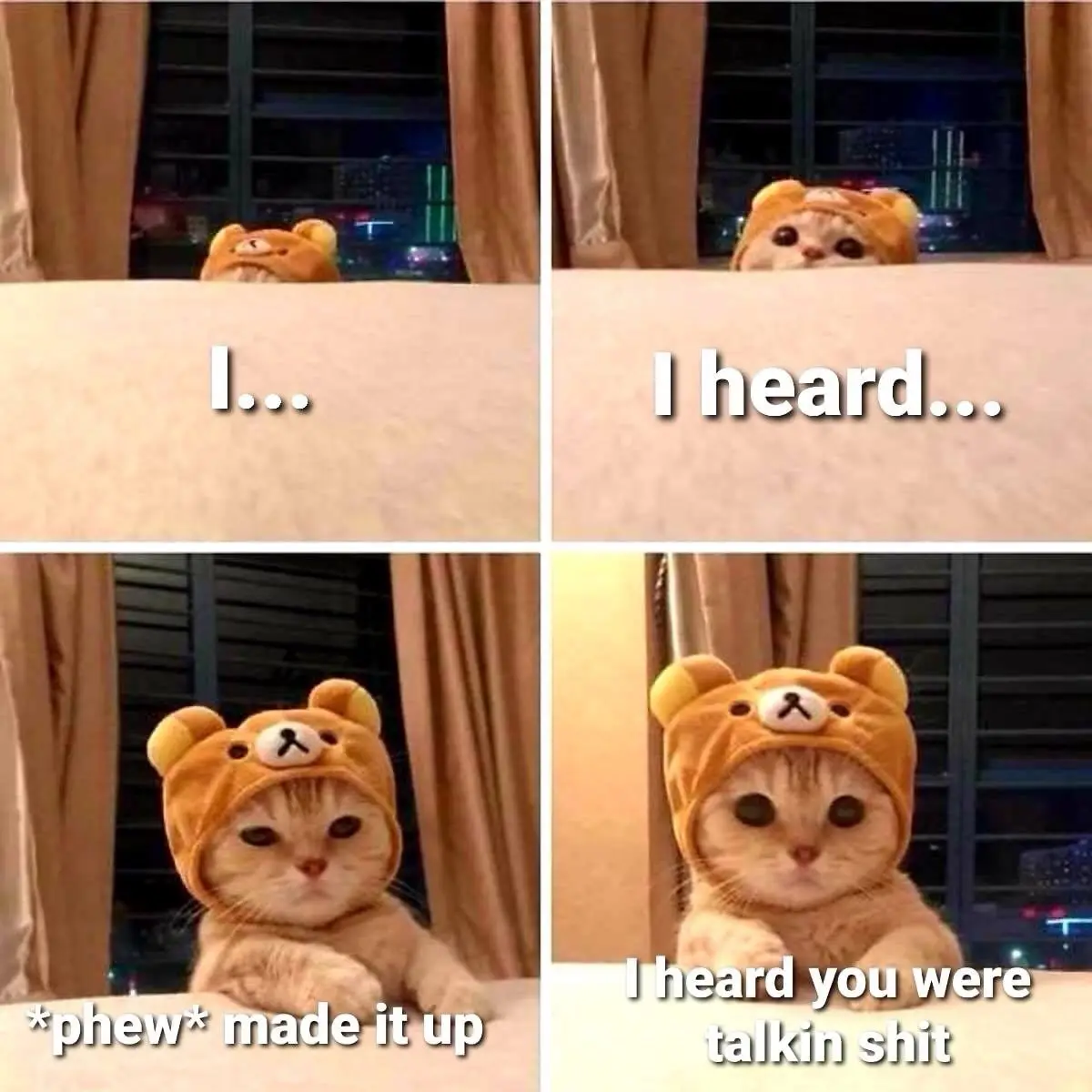 A four-panel meme featuring a cat wearing a brown bear hat, peeking over a ledge in a bedroom at night. The panels show the…