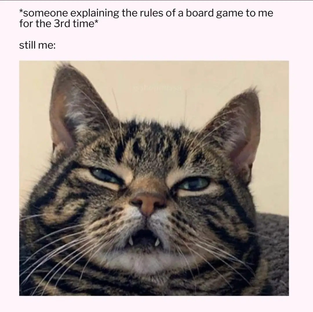 A close-up photo of a tabby cat with a grumpy, unimpressed expression, its eyes narrowed and mouth slightly open showing…