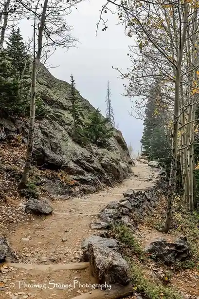 A winding dirt trail ascends a rocky, forested mountainside under an overcast sky, flanked by aspen trees with sparse yellow…