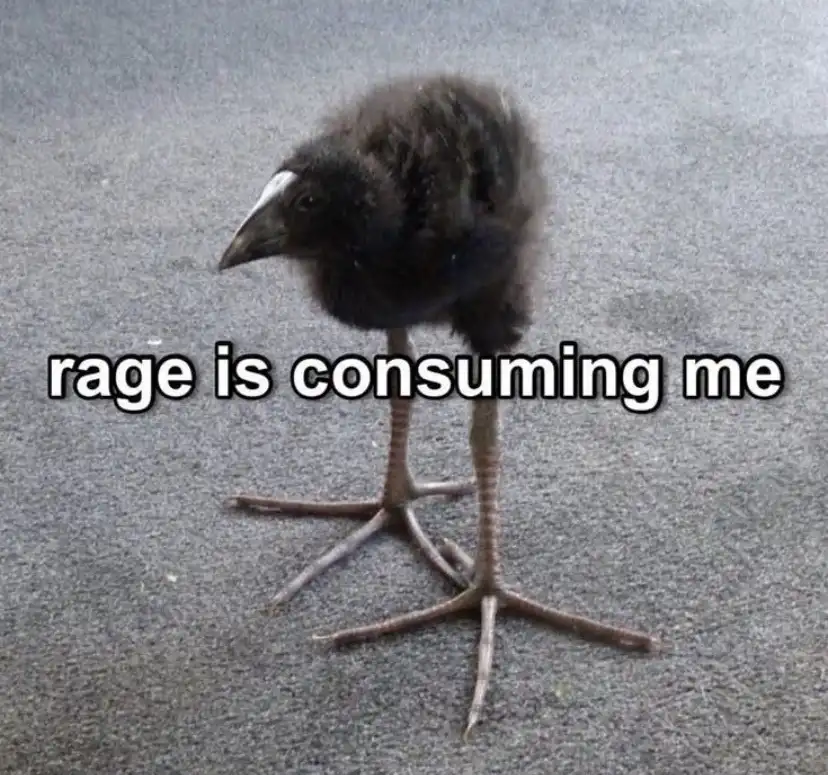 A small, fluffy, dark-feathered bird chick with a long beak and thin legs stands on a gray asphalt surface. The text 'rage…