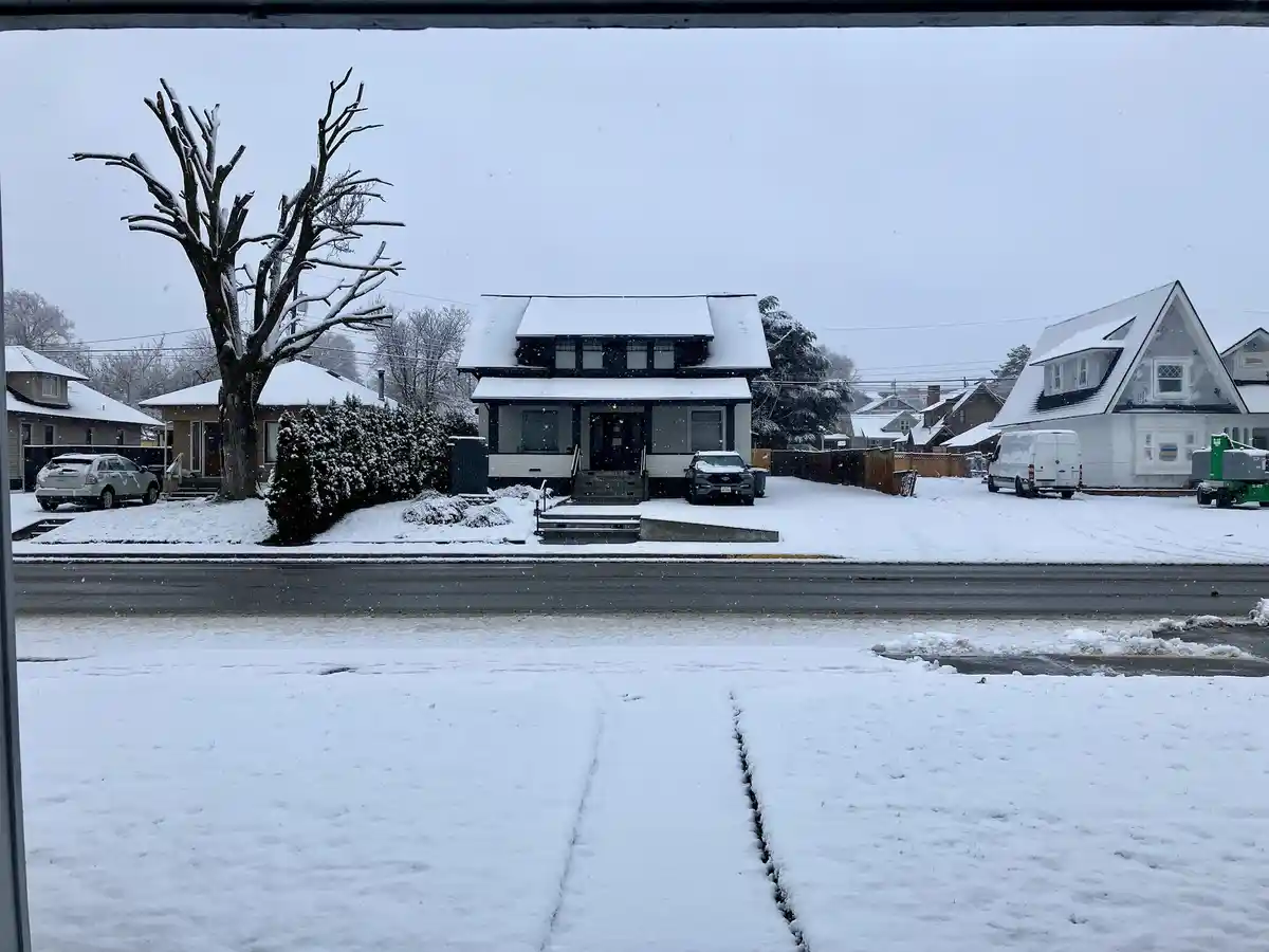 A snowy residential street viewed from a window, with snow-covered houses, bare trees, and parked cars. The foreground shows…