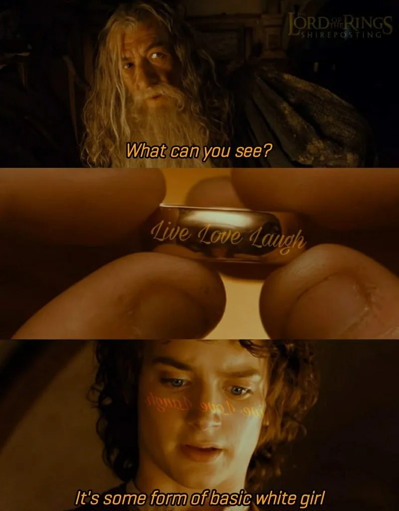 This meme is a three-panel image from 'The Lord of the Rings' featuring Gandalf asking 'What can you see?', a close-up of a…