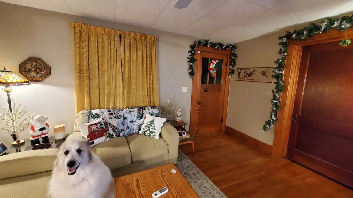 A fluffy white dog sits in a cozy, festively decorated living room with Christmas garlands, pillows, and a Santa figurine…