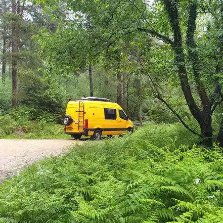 A bright yellow van is parked on a gravel road in a lush green forest, surrounded by ferns and trees. The van has a roof…