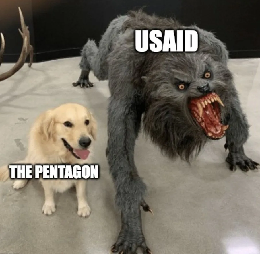 A small, happy golden retriever sits calmly next to a large, menacing werewolf costume. The text 'USAID' is overlaid on the…