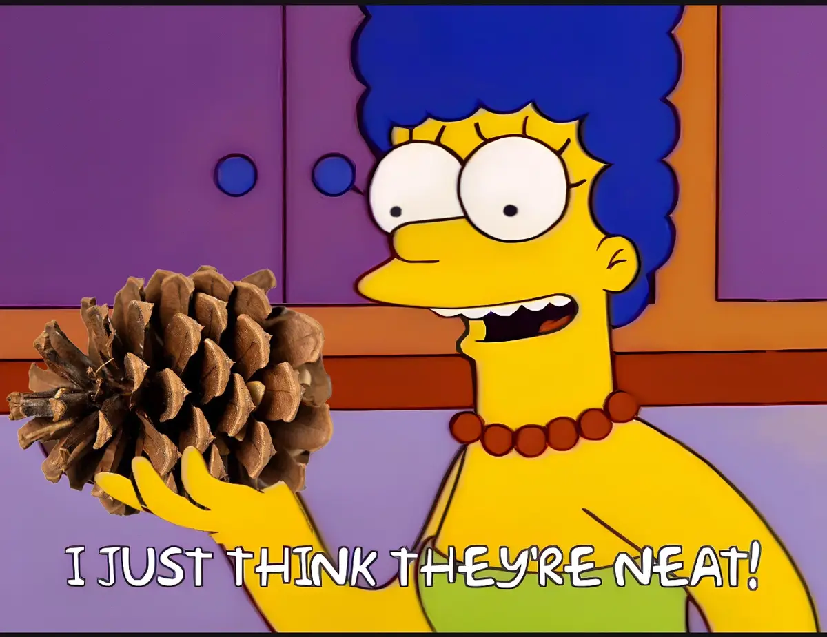Pinecone Power Unite!