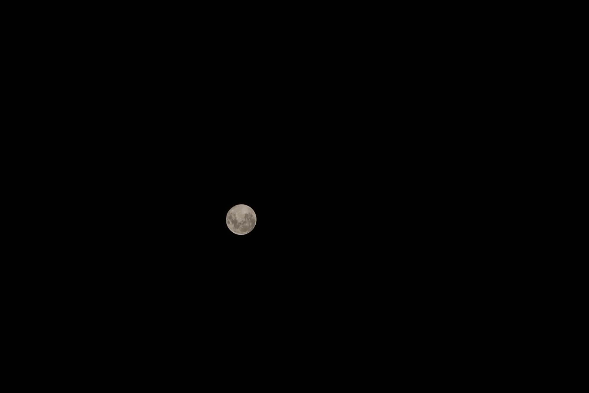 A full moon is centered in a completely black sky, with overlaid text reading 'i'm not a fan of the moon'. The image is…