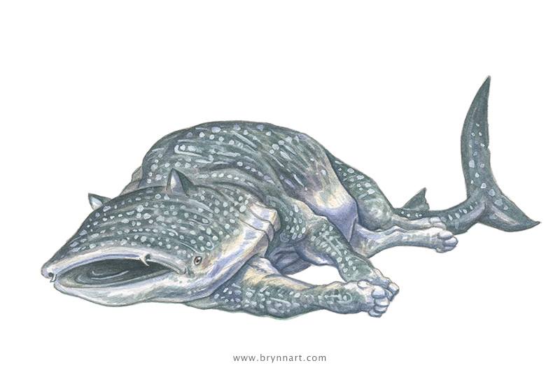 A detailed illustration of a whale shark, the largest known living nonmammalian vertebrate, depicted in a side profile…