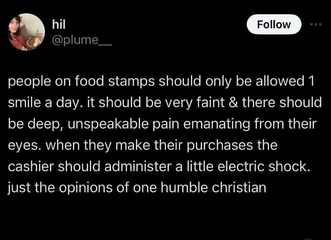A screenshot of a tweet by user @plume__ with a black background and white text. The text presents a satirical, extreme, and…
