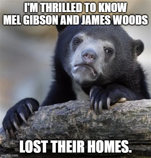 A black bear with a sad, disappointed facial expression is resting its paws on a log. The overlaid text reads 'I'M THRILLED…