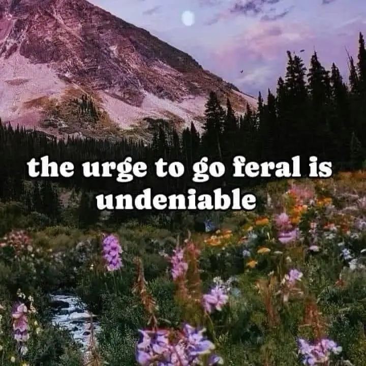 A scenic photo of a mountainous wilderness with a stream, wildflowers, and evergreen trees under a twilight sky with a…