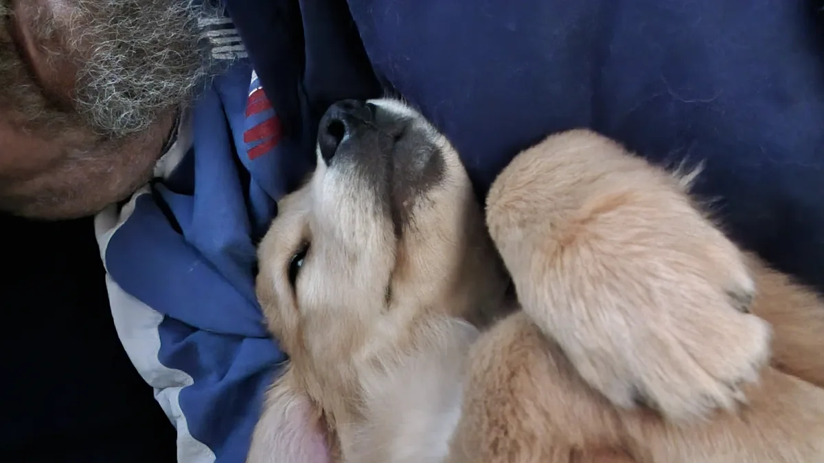 A close-up photo shows a light-colored puppy with its head tilted upward, nestled against a person's chest. The person…