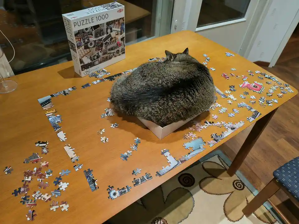 A fluffy gray cat is curled up and sleeping inside a white puzzle box placed on a wooden table covered with scattered jigsaw…