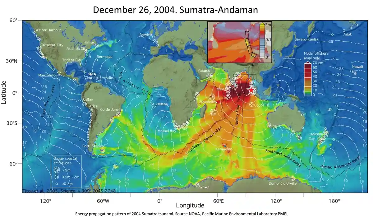 Remembering the Tragic Boxing Day Tsunami: 20 Years Later