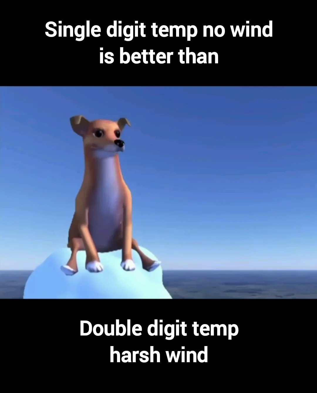 A 3d animated dog sits calmly on a small iceberg against a clear blue sky and ocean. White text at the top reads 'Single…