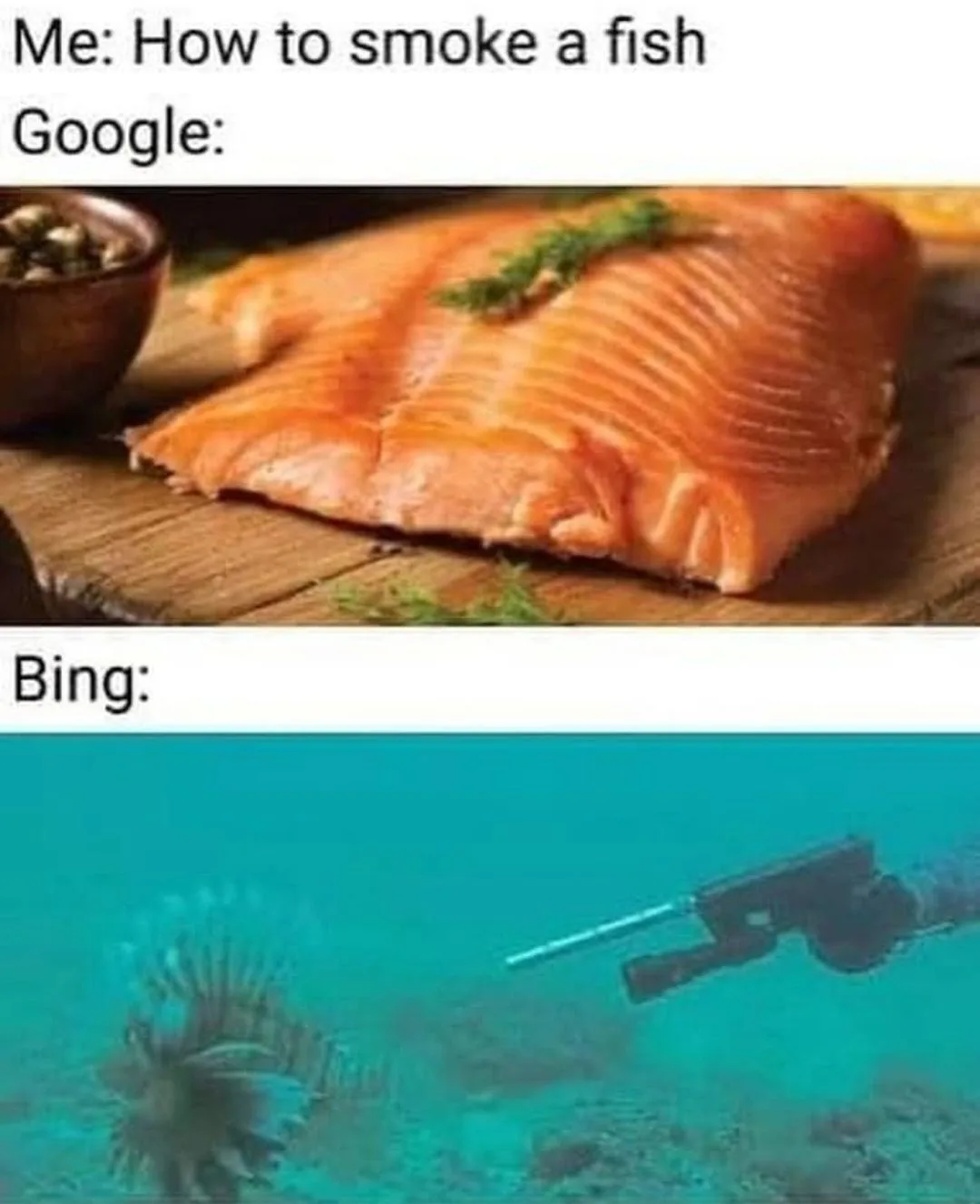The meme shows two images: the top one is a close-up of a raw salmon fillet on a wooden board with herbs and a bowl of…
