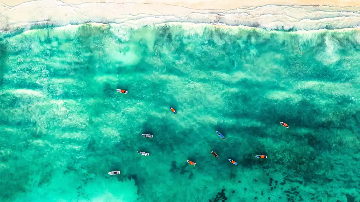 In Zanzibar's azure seas, traditional dhows, either for fishing or leisure, add pops of color. The dhows' sturdy hulls once…