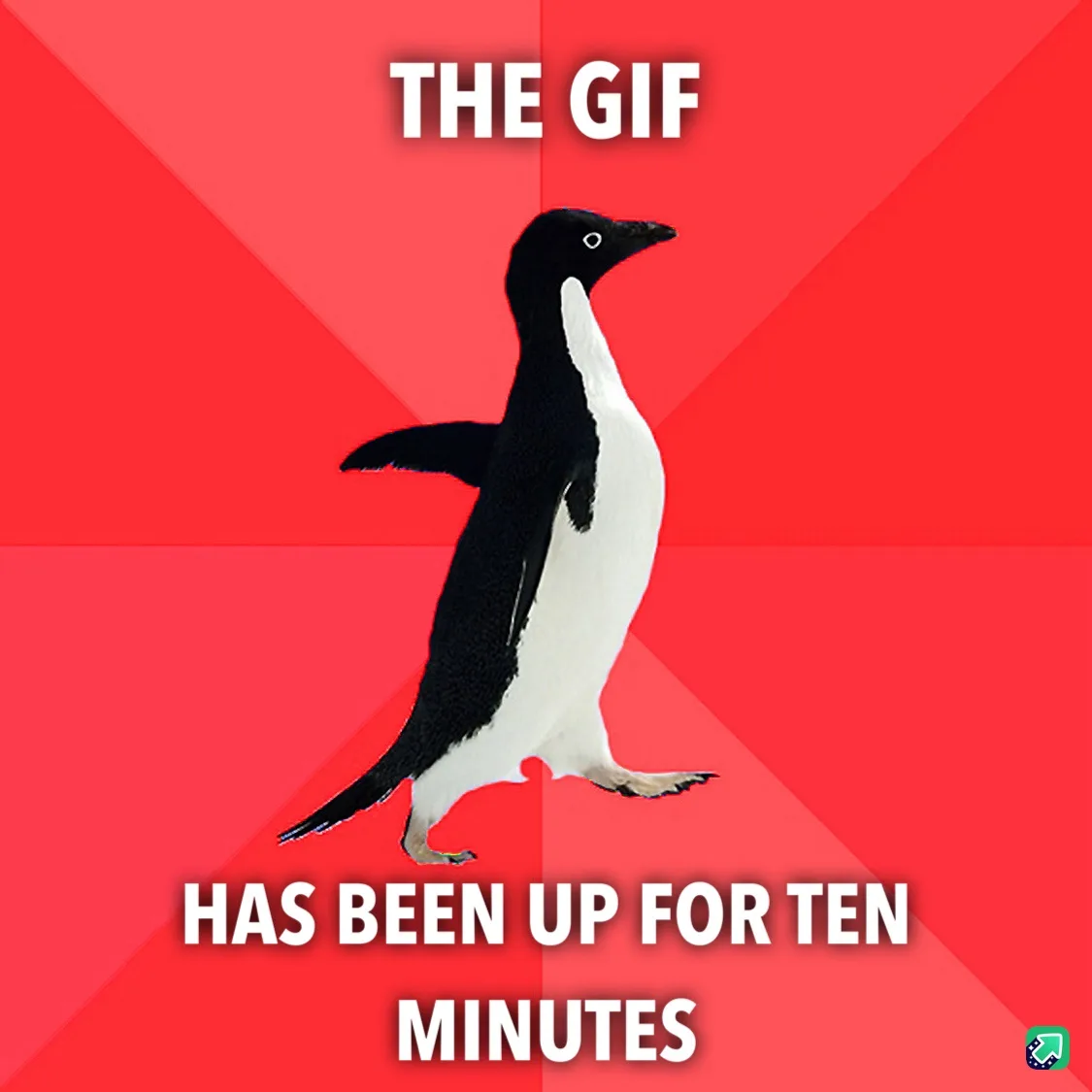 A black-and-white penguin stands centered against a red background with diagonal stripes. White bold text at the top reads…