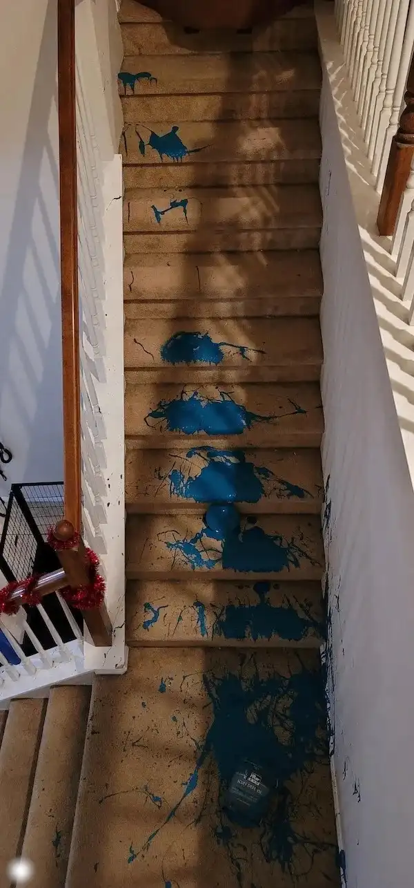 An overhead view of a carpeted staircase covered in large blue paint splatters and drips, with a paint can lying on the…