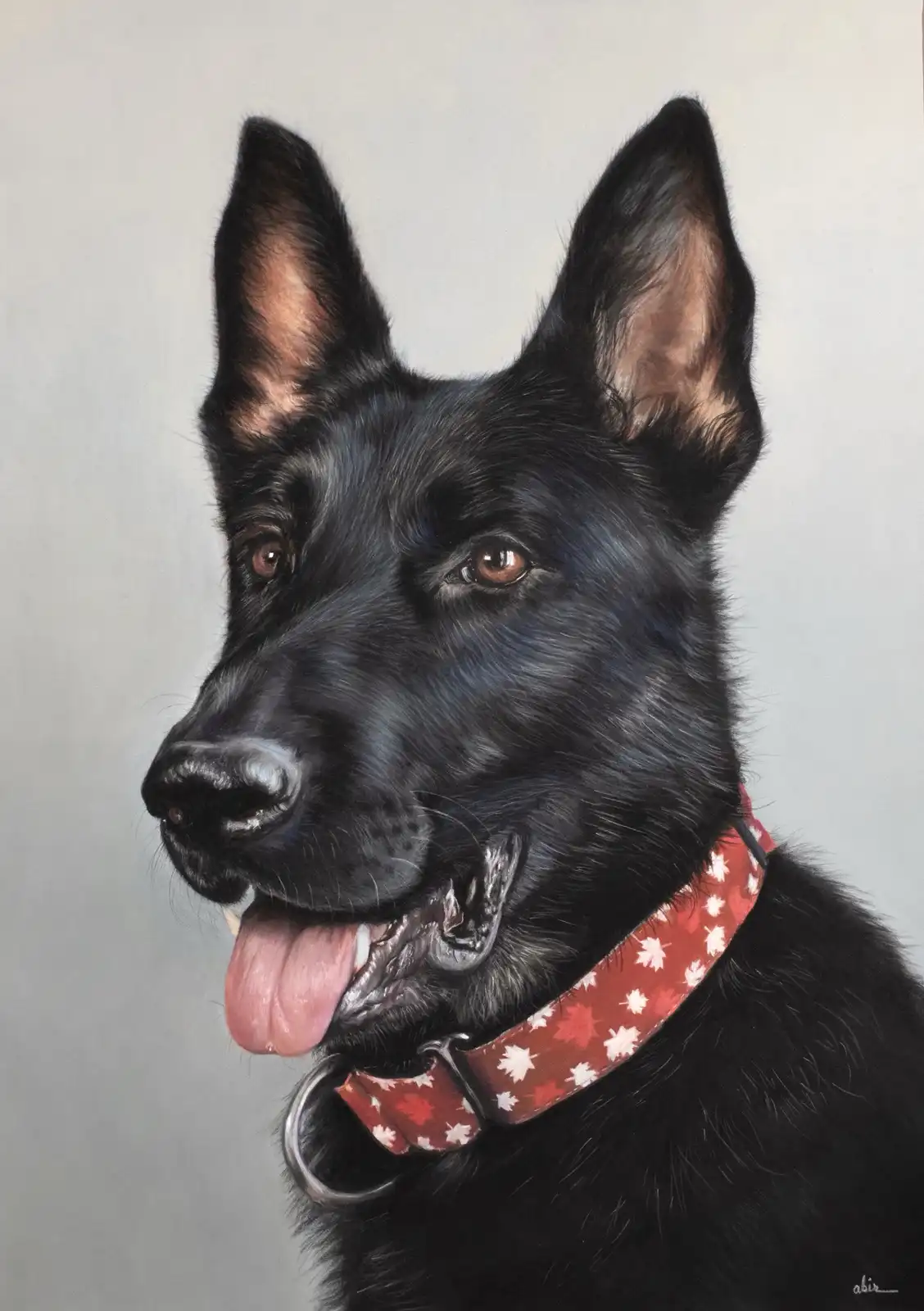 A highly detailed portrait of a black German Shepherd dog with its tongue out, wearing a red collar with white maple leaf…