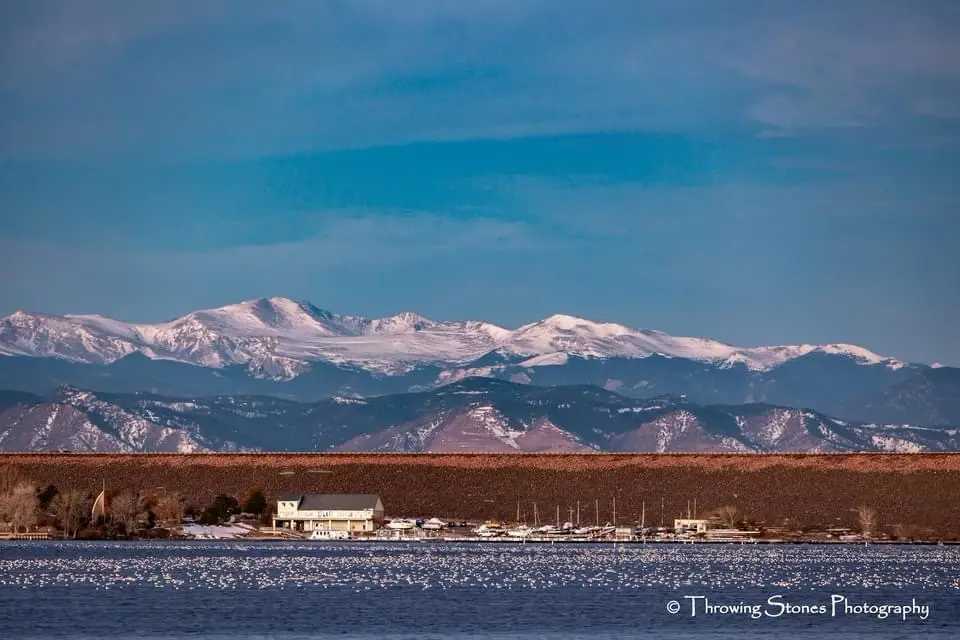 A Winter Wonderland: Everything is Snow-Covered