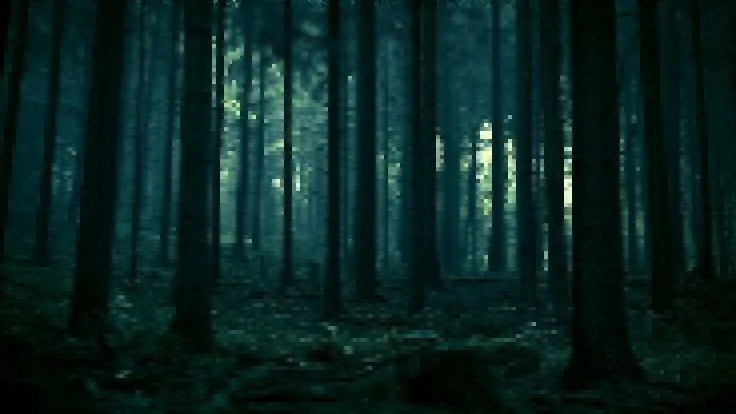 A dark, pixelated forest scene with tall, thin tree trunks stretching upward into a dim, blue-green haze. The ground is…