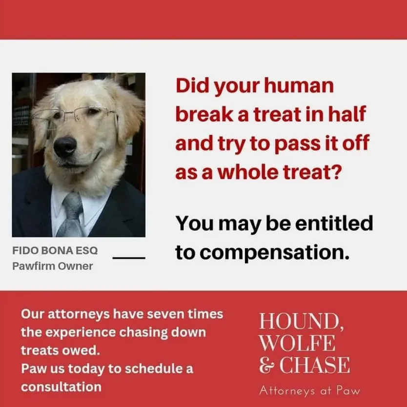 A golden retriever wearing glasses, a suit, and tie appears as a lawyer named 'FIDO BONA ESQ, Pawfirm Owner'. The image…