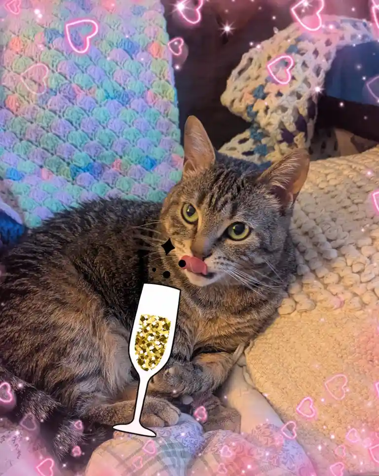 A tabby cat with green eyes is lounging on blankets, its tongue sticking out slightly, with a cartoon champagne glass filled…