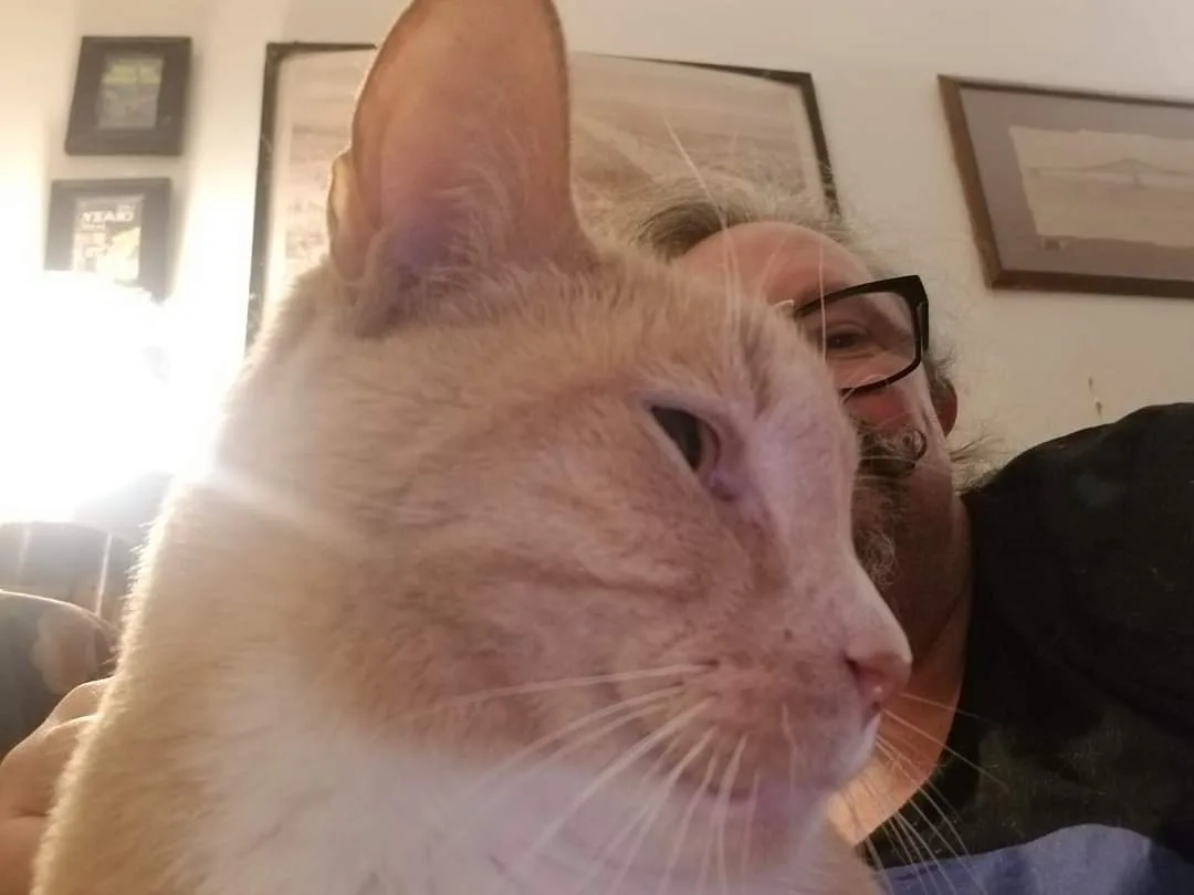 A close-up selfie shows a light orange and white cat's face dominating the foreground, with a person wearing glasses and a…