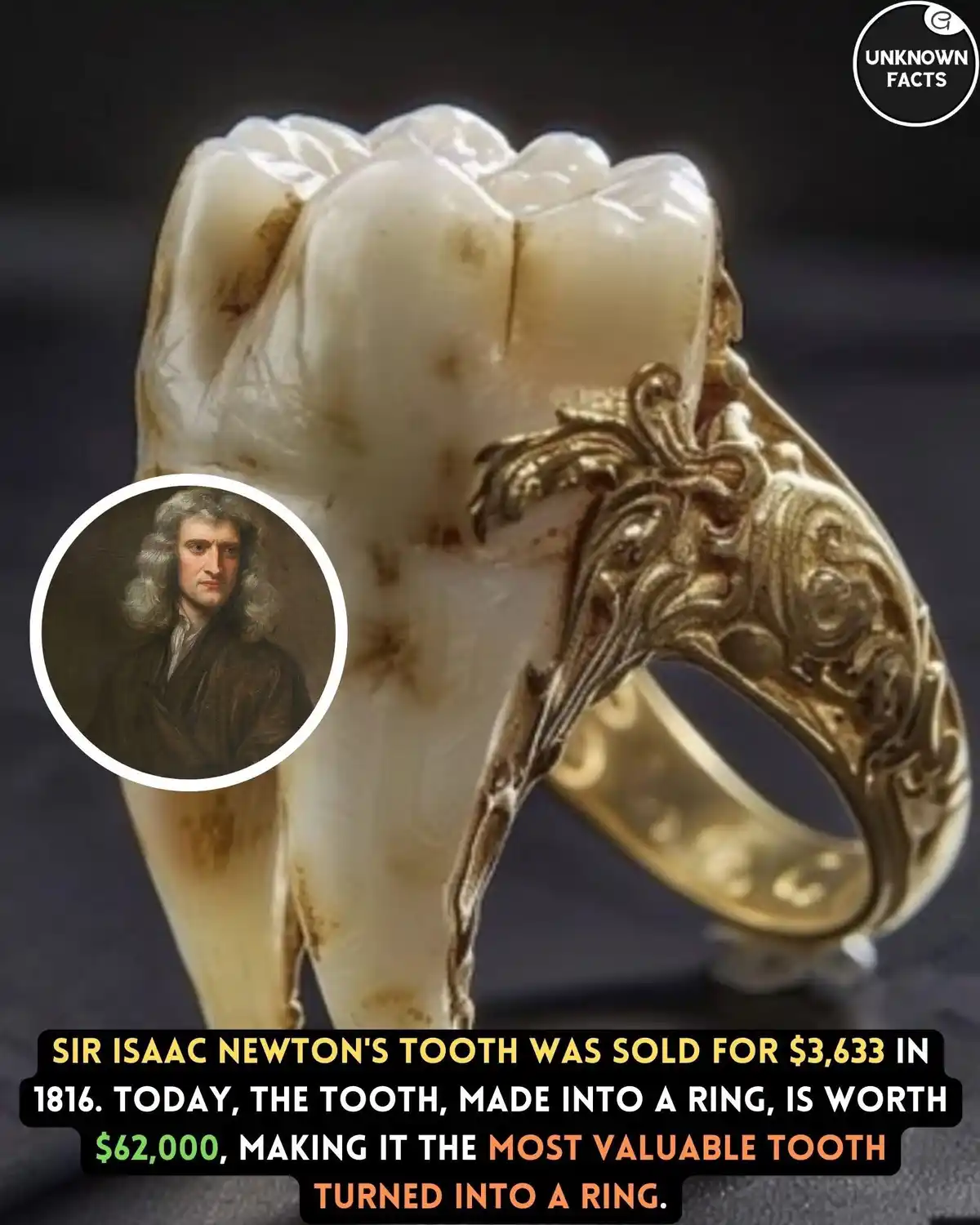 A large human molar, set into an ornate gold ring, is displayed against a dark background. A circular portrait of Sir Isaac…