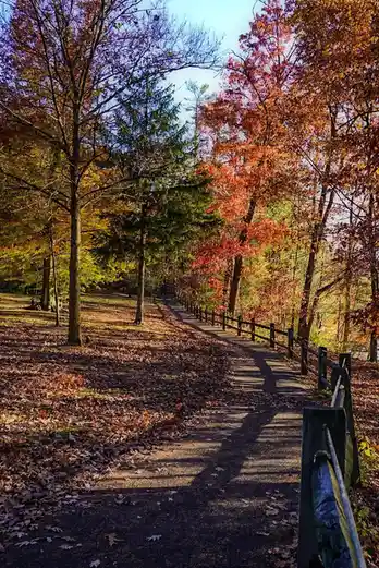 A scenic autumn path lined with vibrant orange and yellow trees, fallen leaves covering the ground, and a wooden fence on…
