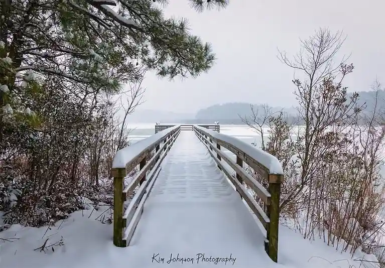 Winter Wonderland: Snow Blankets Prime Hook